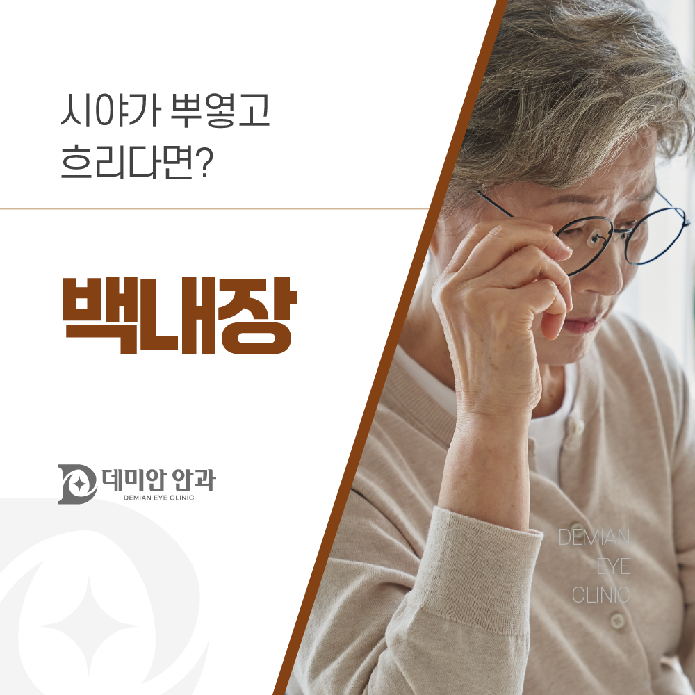이미지 없음