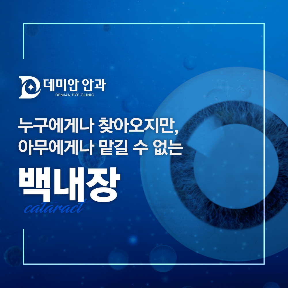 이미지 없음
