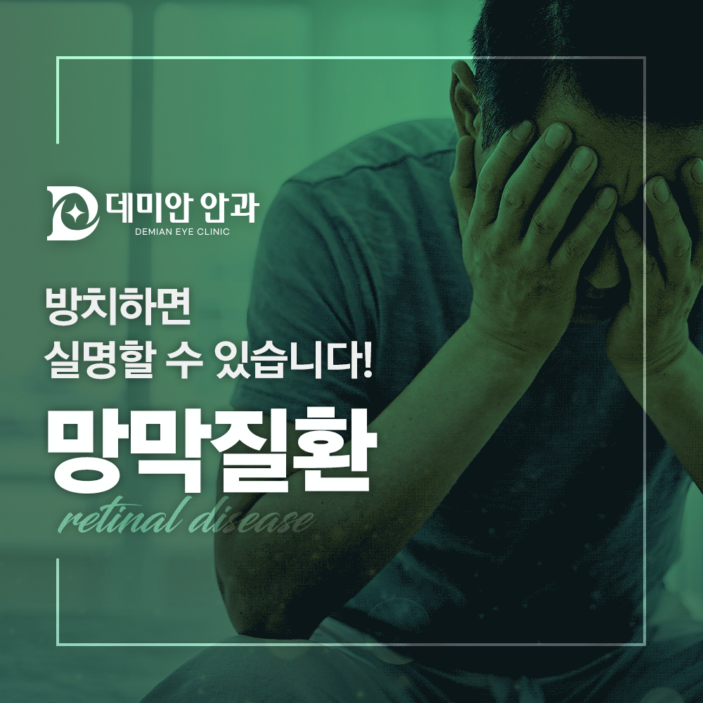 이미지 없음