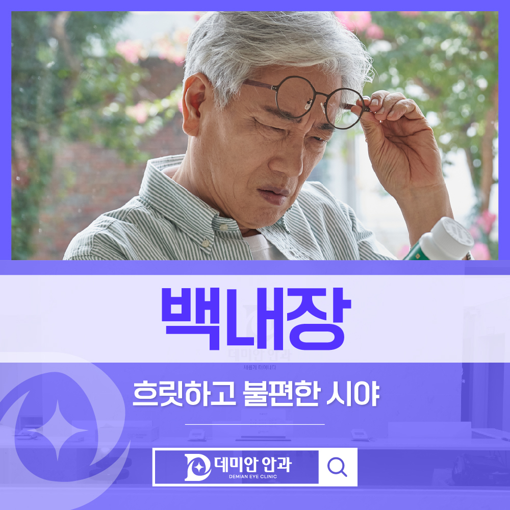 이미지 없음