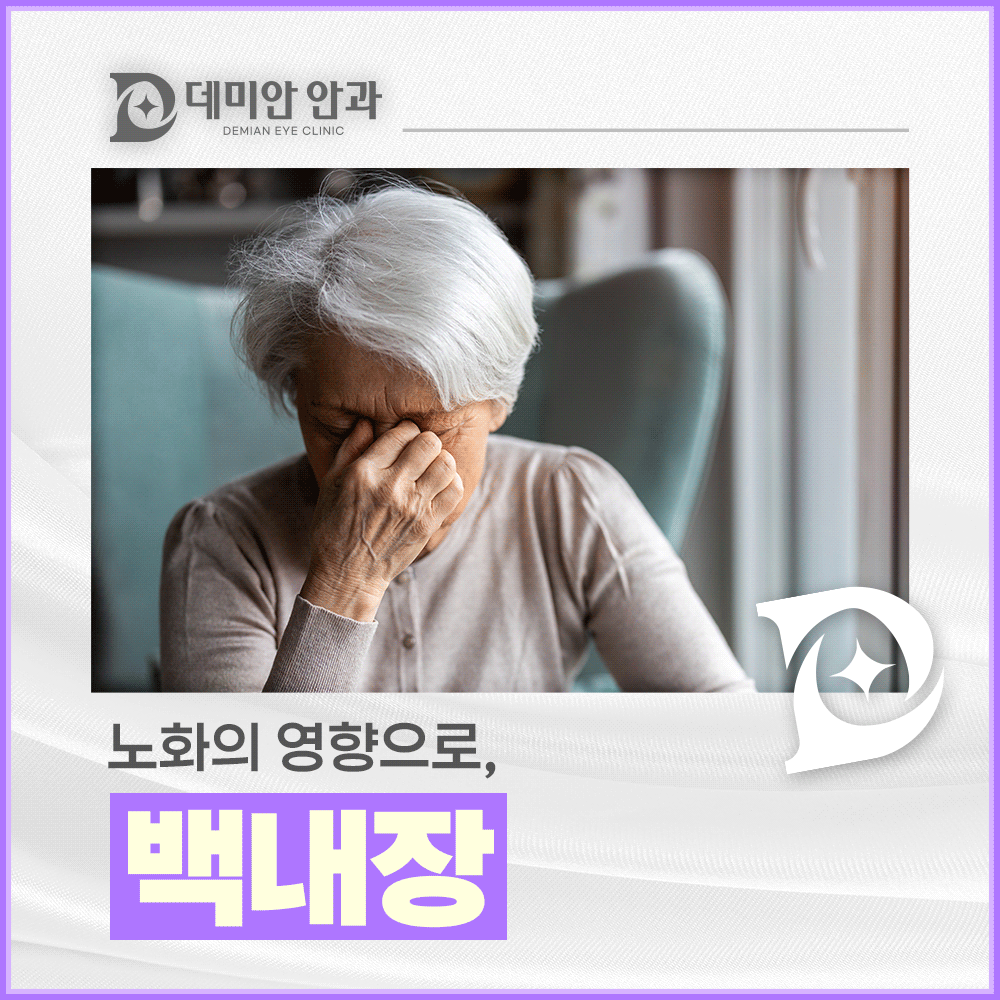 이미지 없음