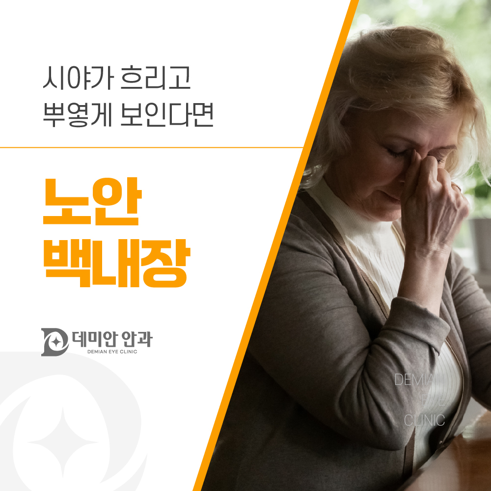 이미지 없음