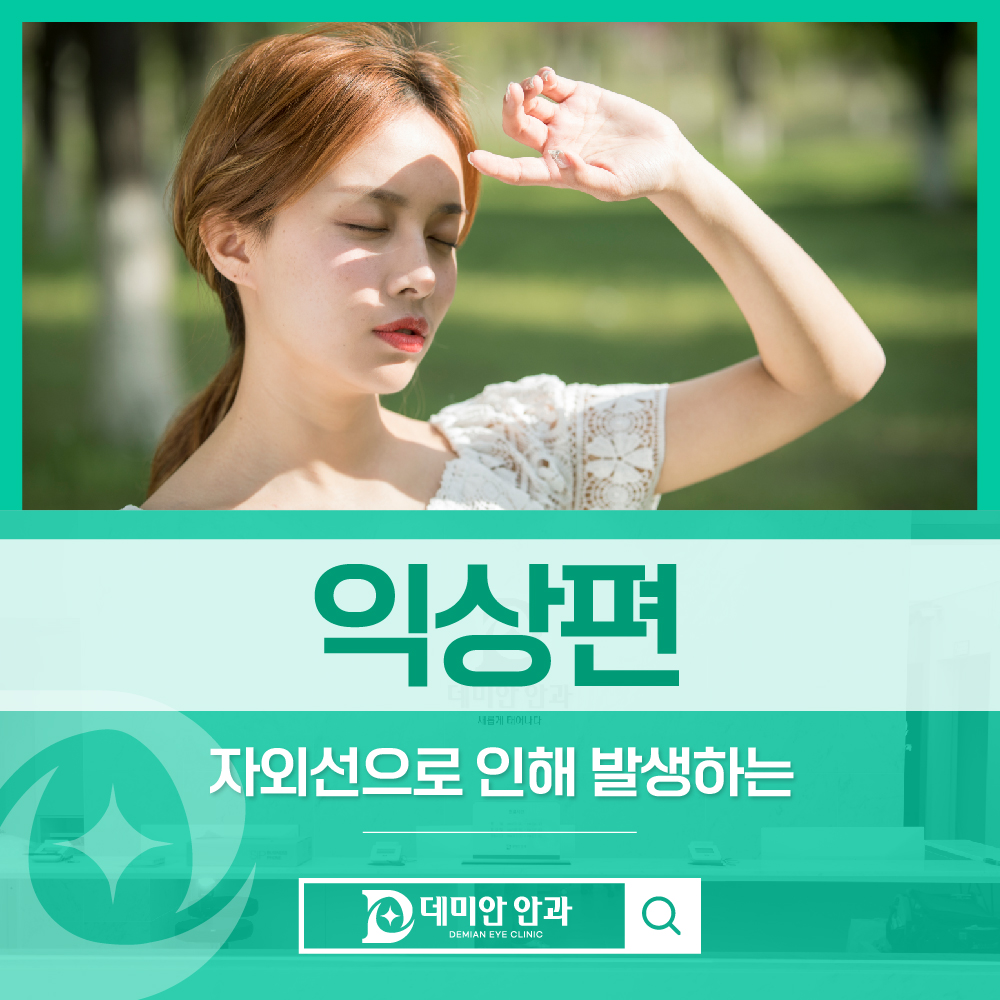 이미지 없음