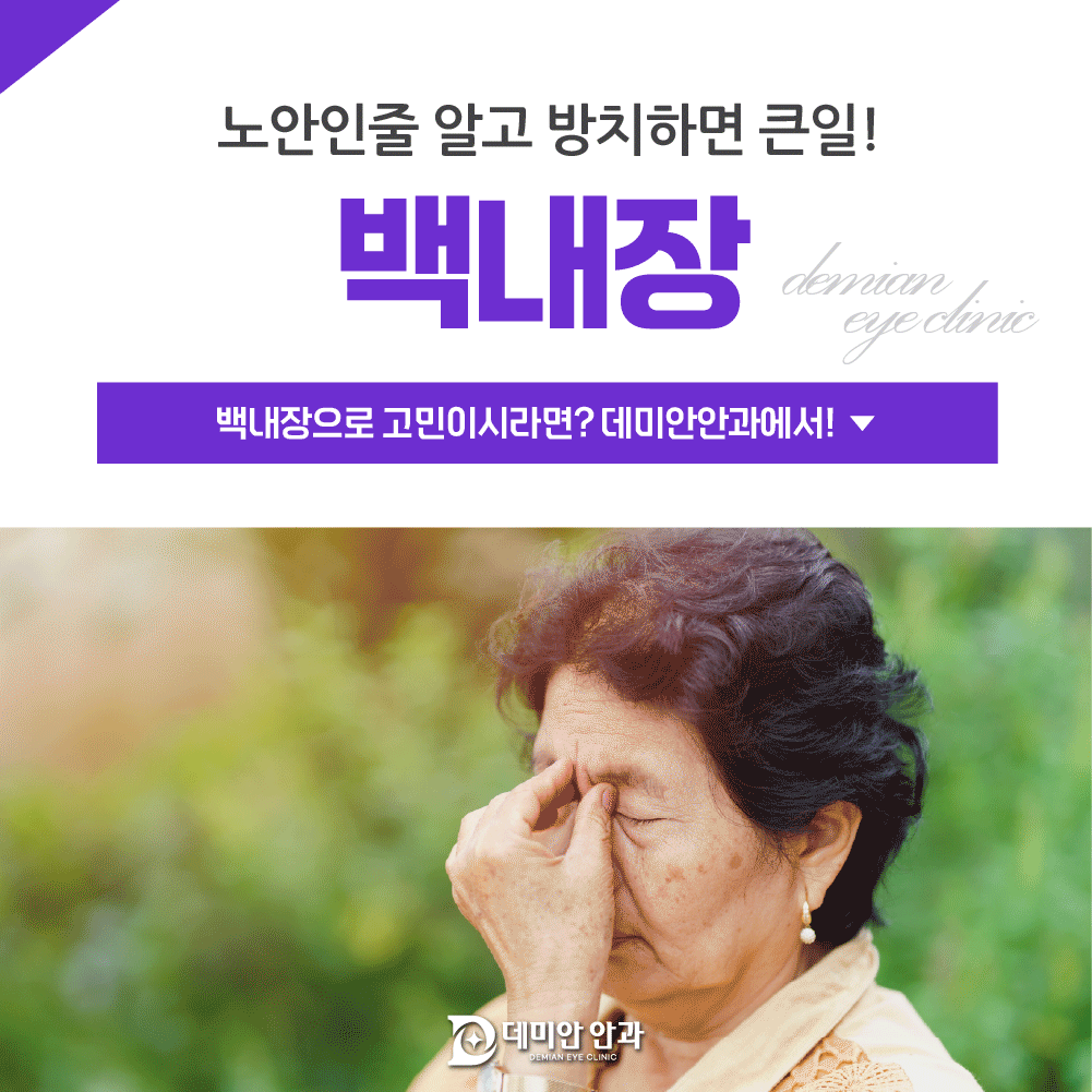 이미지 없음
