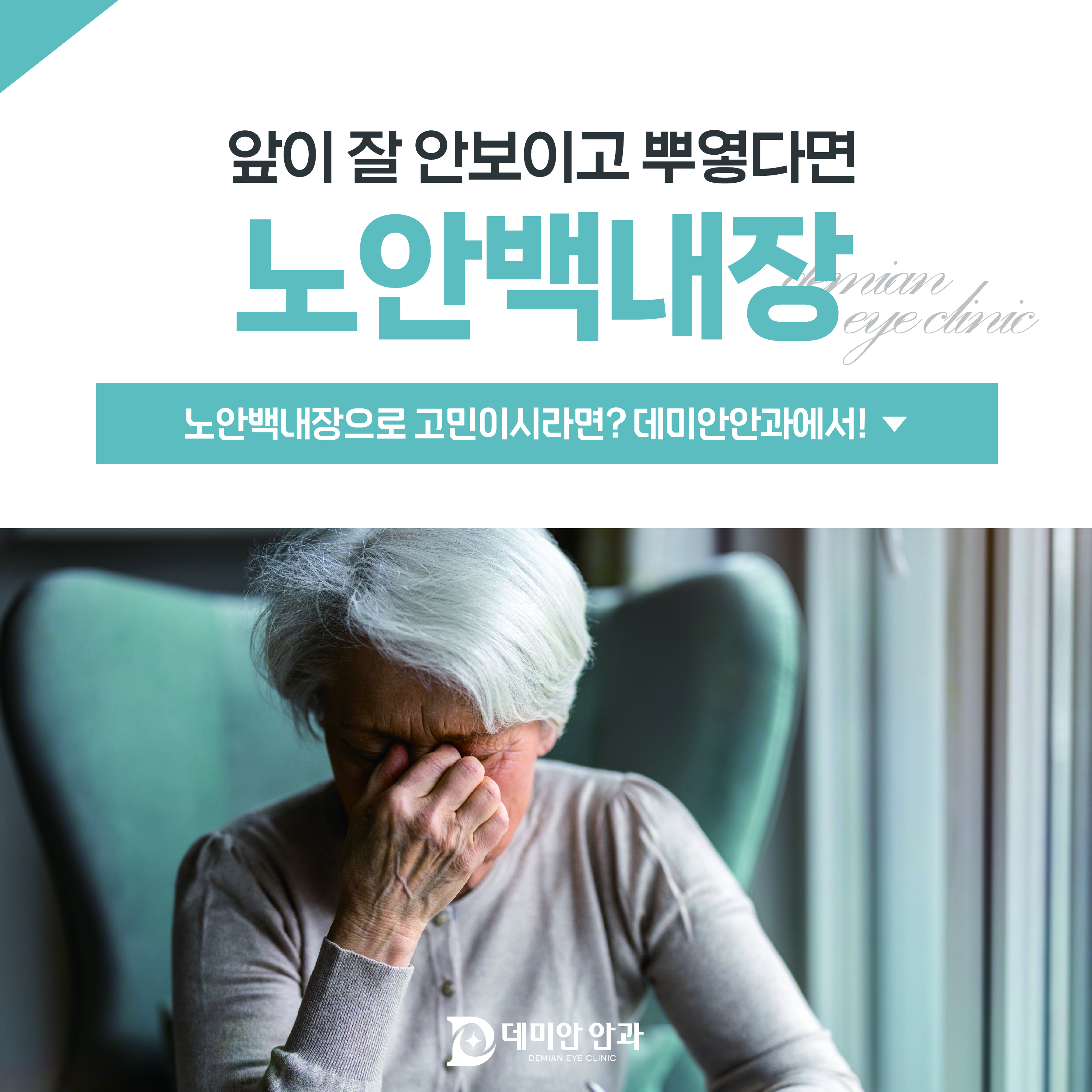 이미지 없음