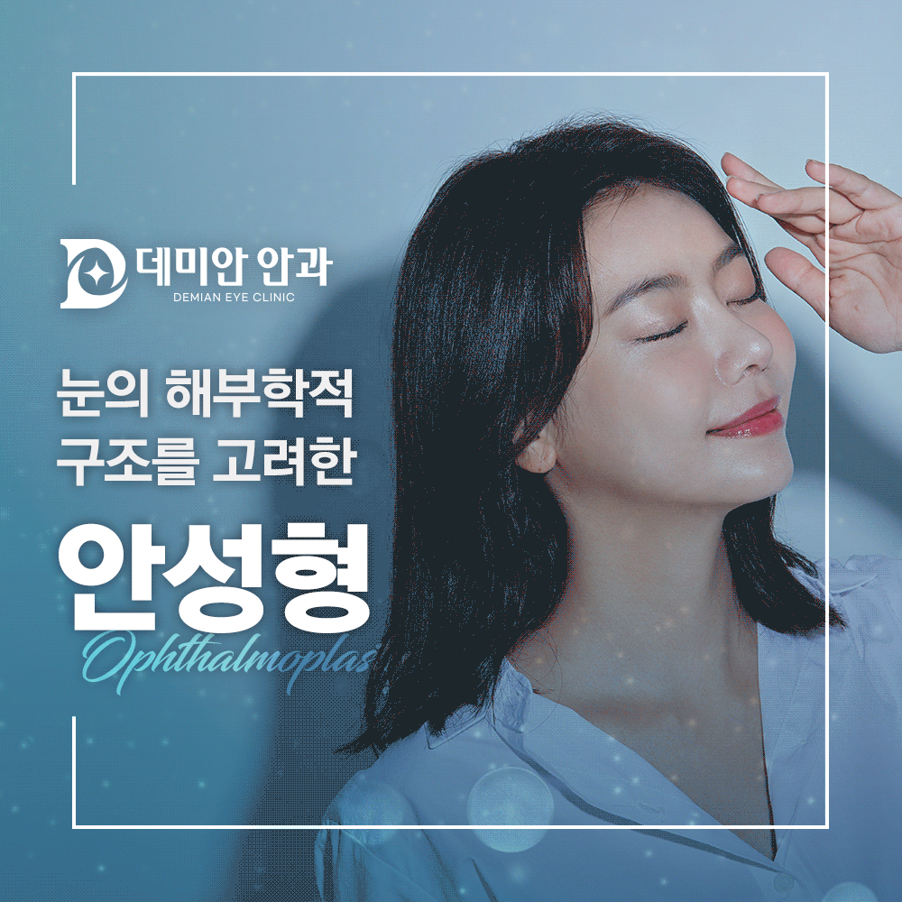 이미지 없음